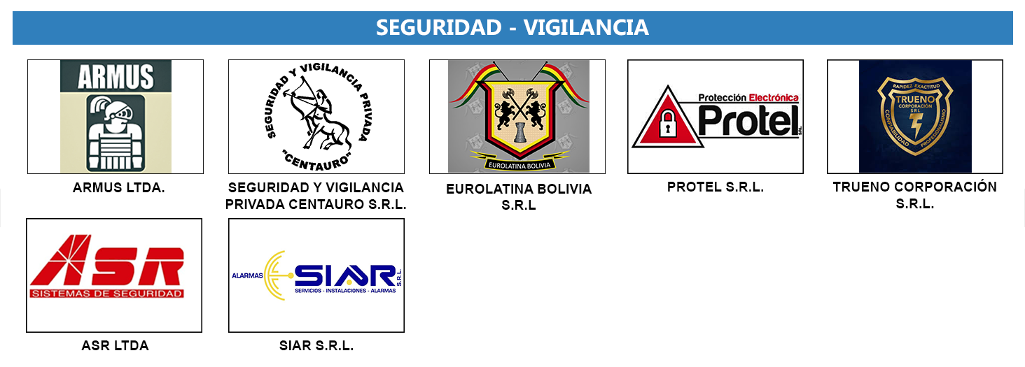 SEGURIDAD VIGILANCIA